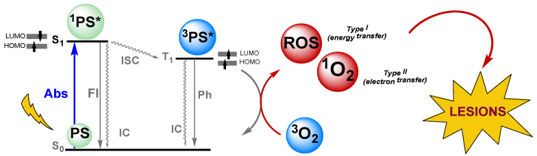 Figure 20