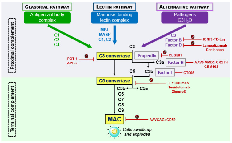 Figure 15