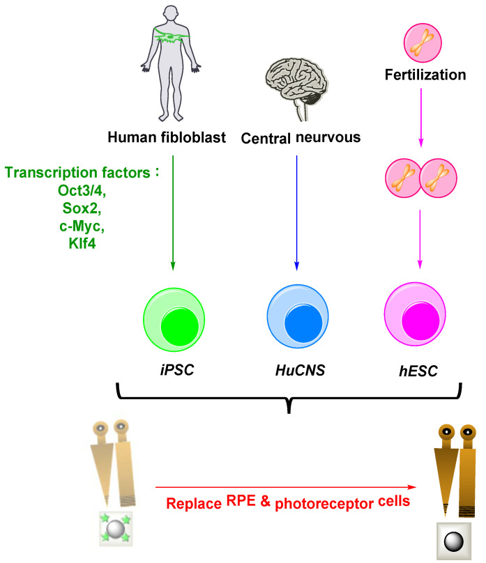 Figure 16