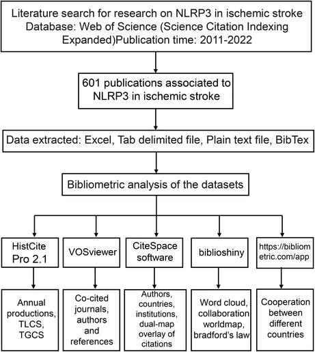 graphic file with name CNS-29-2940-g002.jpg