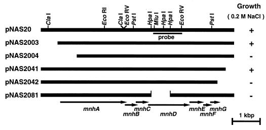 FIG. 3