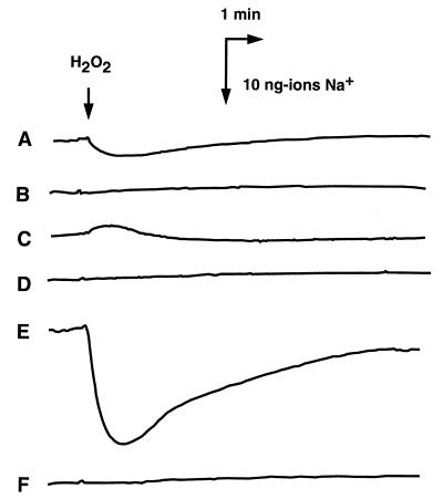 FIG. 5