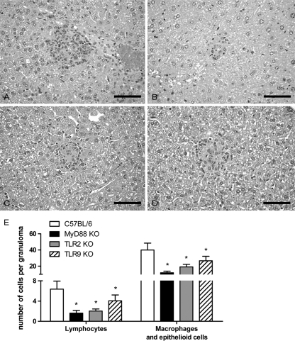 FIG. 9.