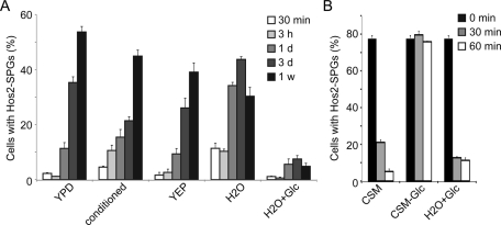 FIGURE 5: