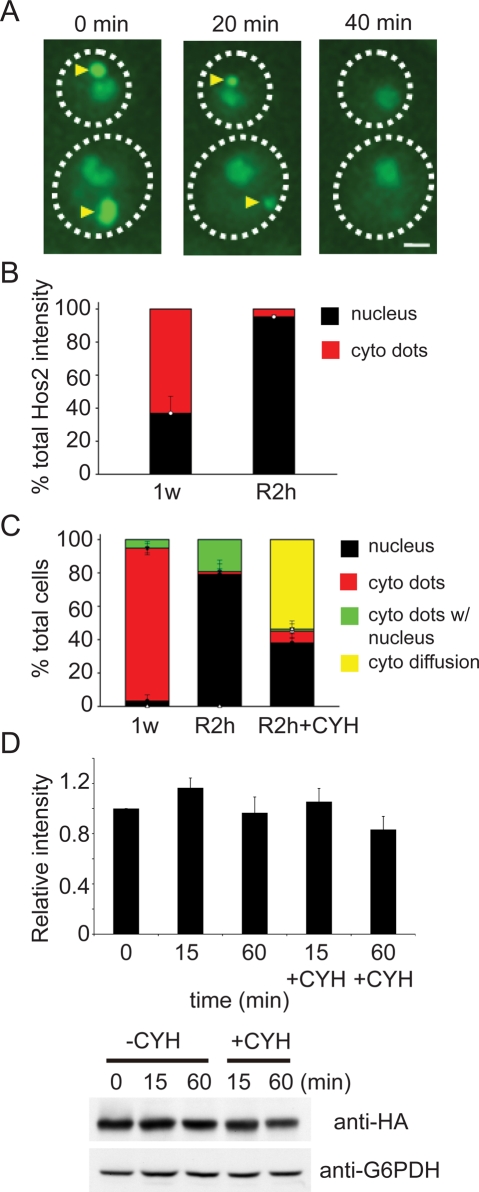 FIGURE 4: