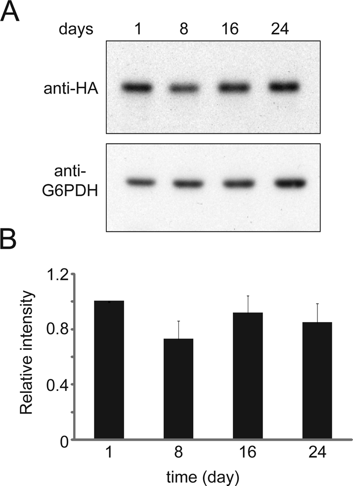 FIGURE 10: