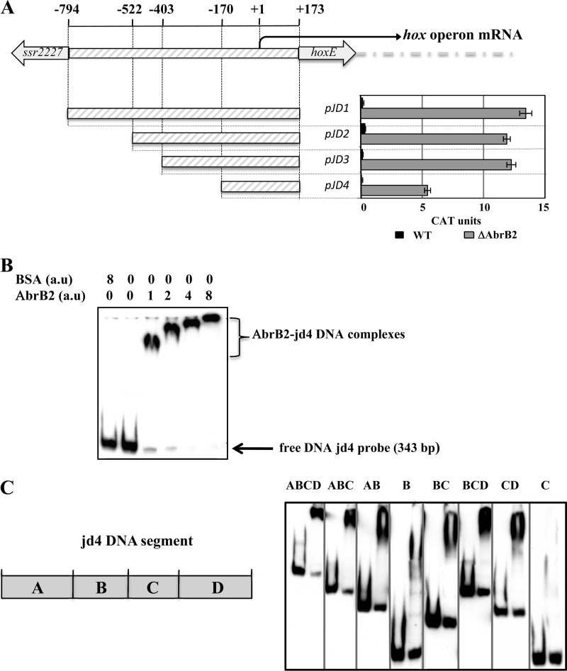 Fig 5