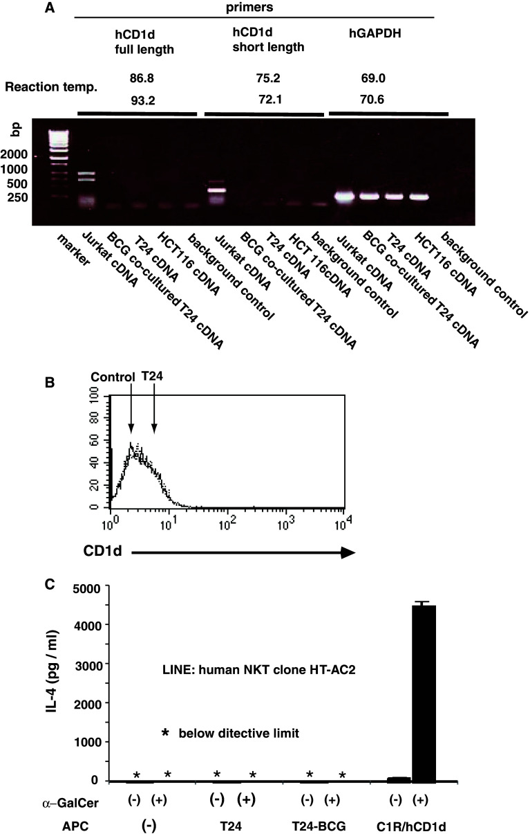 Fig. 6