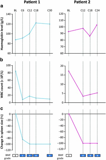 Fig. 3