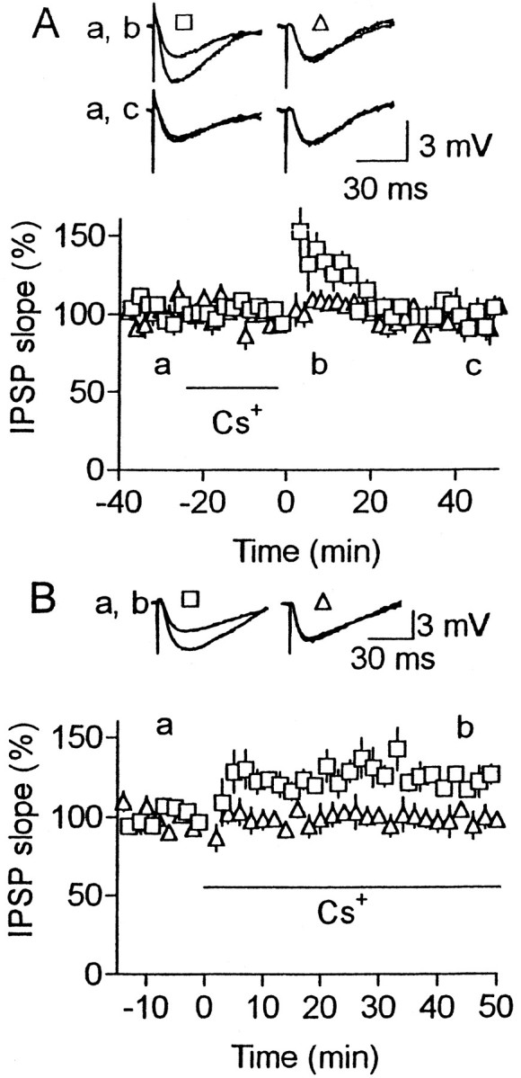 Fig. 8.