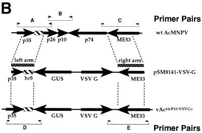 FIG. 6