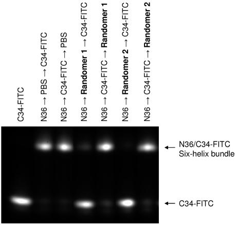 FIG. 5.