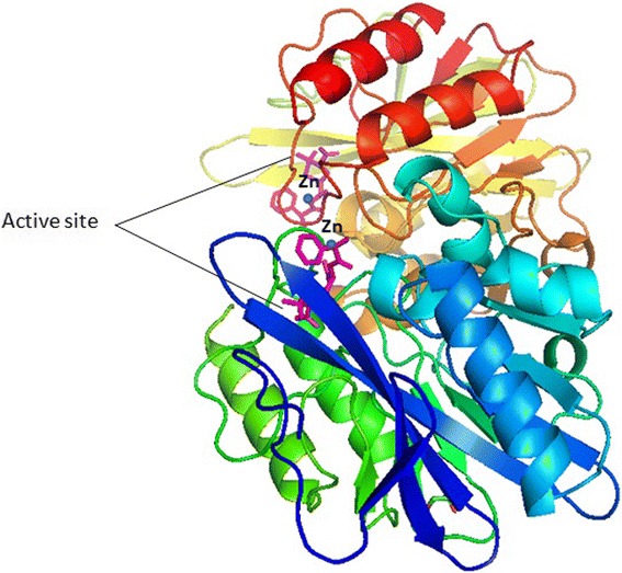 Fig. 1