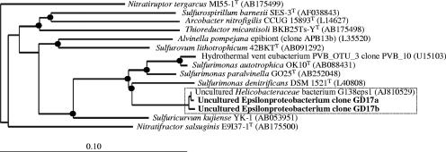 FIG. 4.