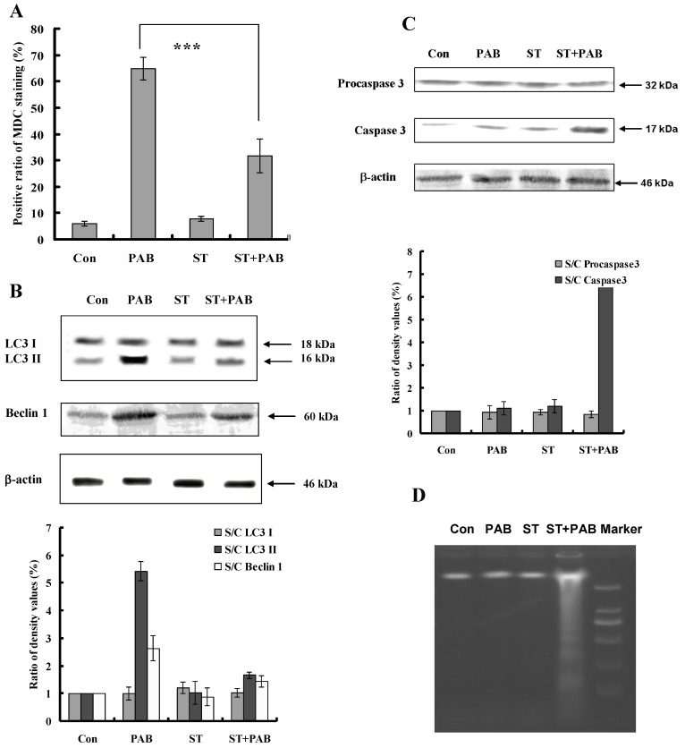 Fig 7