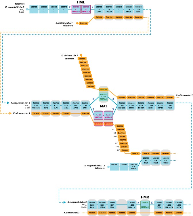 Figure 3.