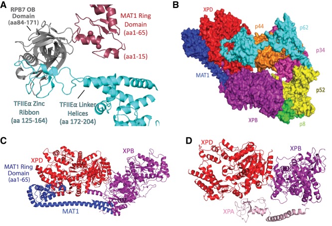 Figure 4.