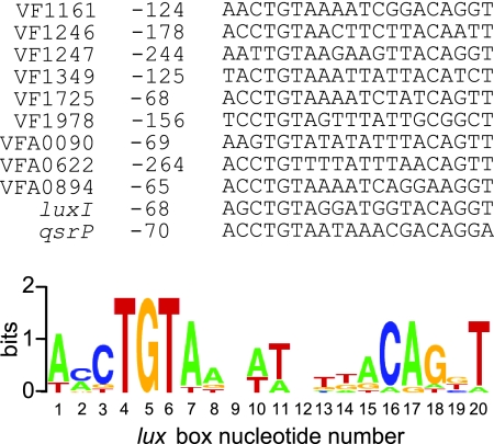 FIG. 4.