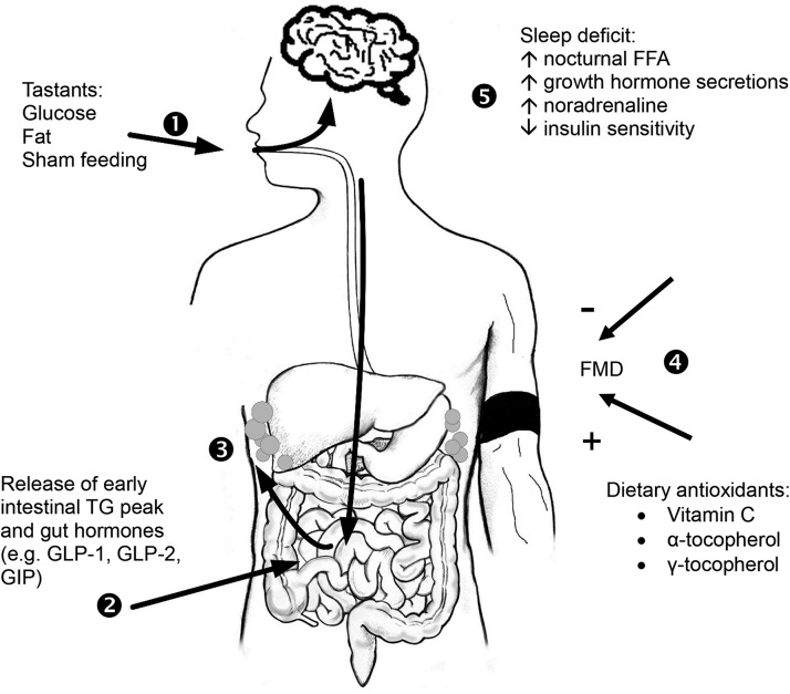 FIGURE 4