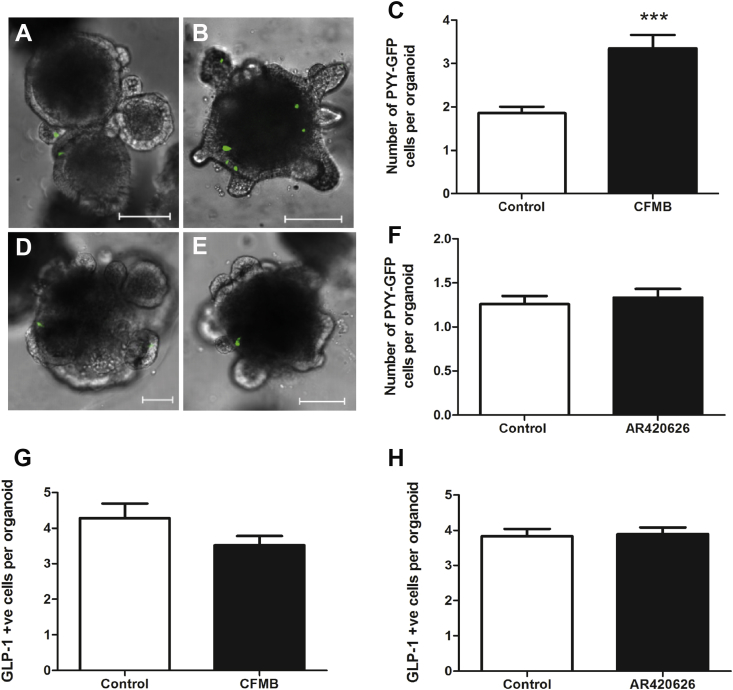 Figure 6