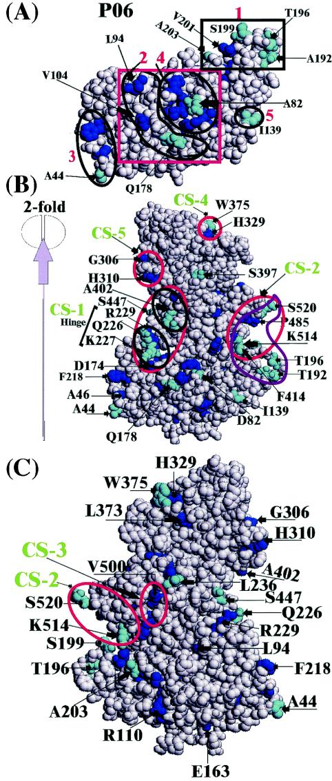 FIG. 4.