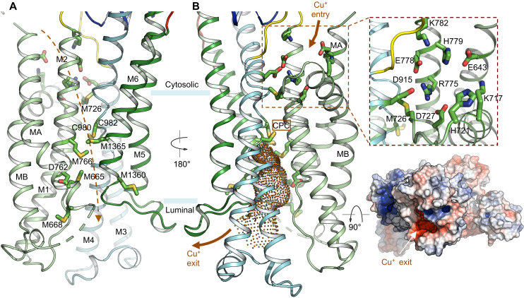 Fig. 2.