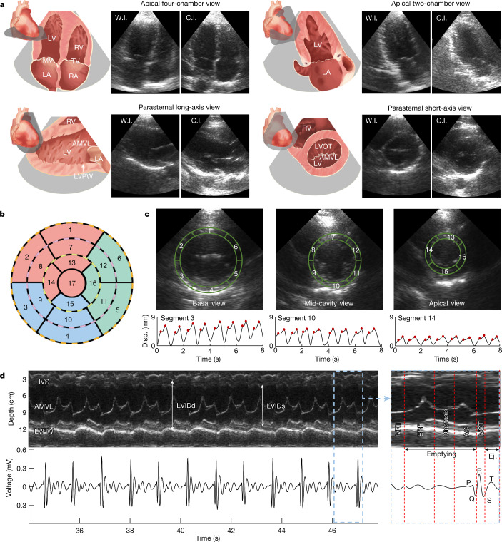 Fig. 3