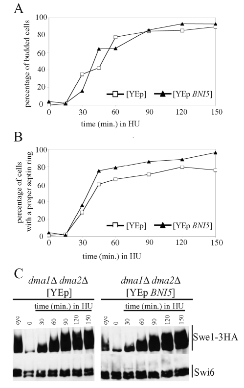 FIGURE 7: