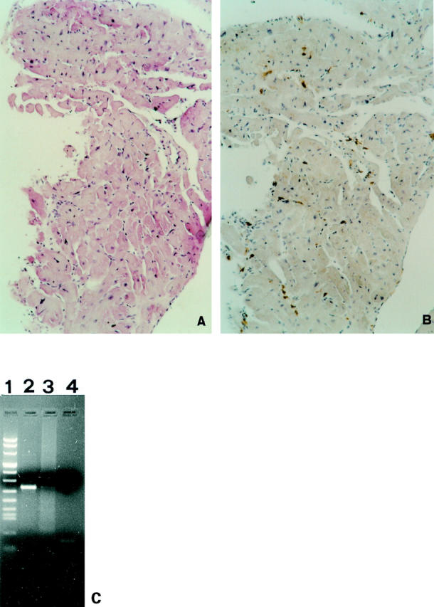 Figure 4  