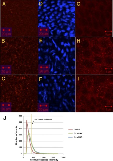 Fig. 11.