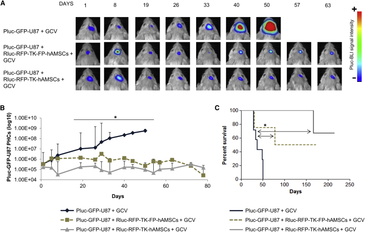 Figure 3