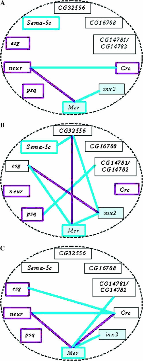 Figure 6.—