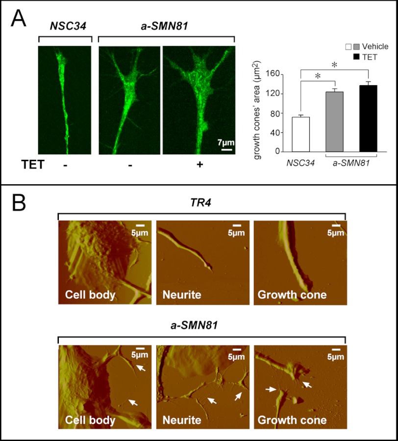 FIGURE 3.