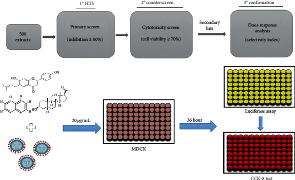 Figure 2