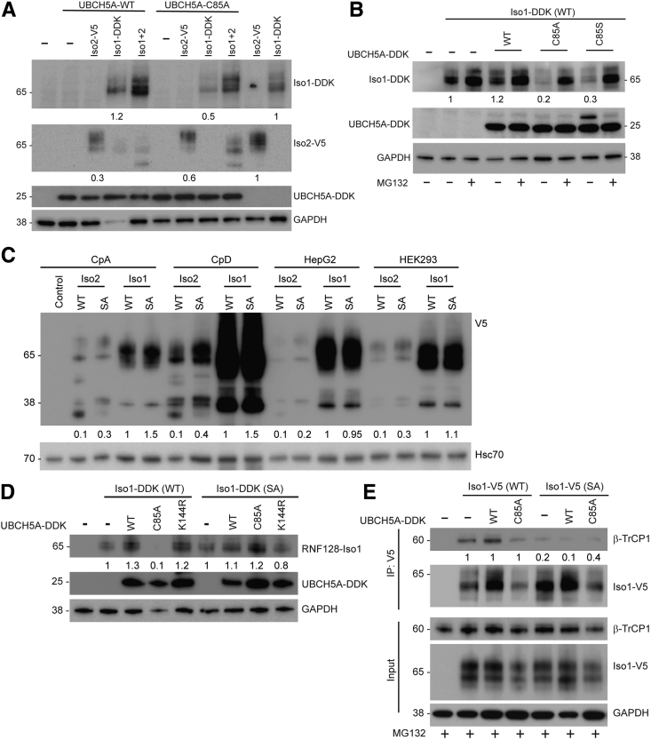 Figure 7