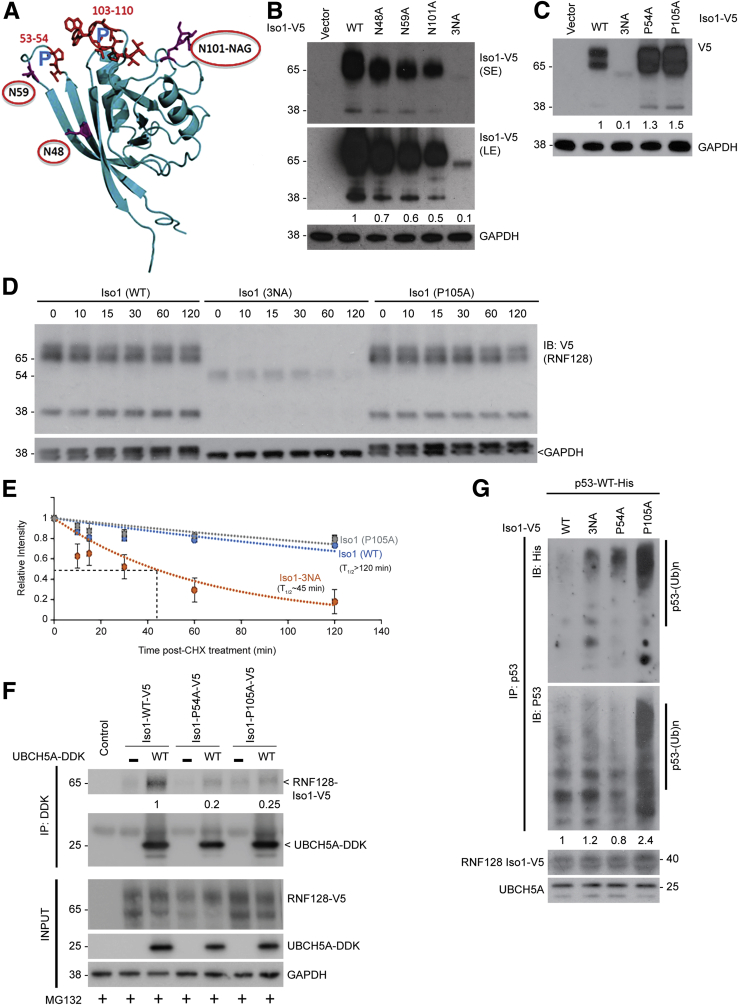 Figure 6