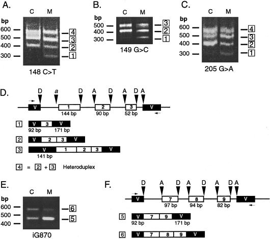 Figure  4