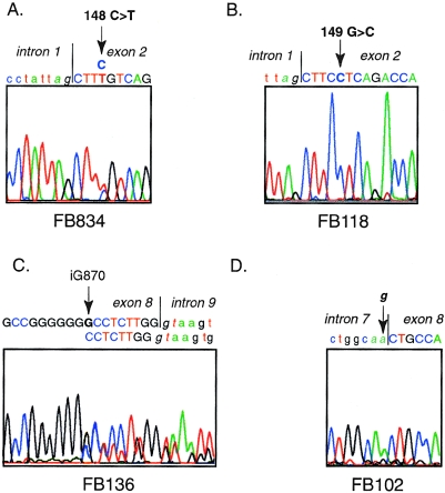 Figure  2