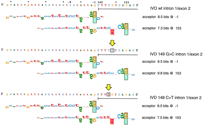 Figure  5