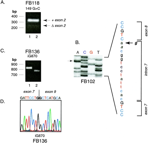 Figure  3