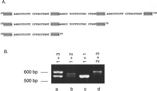 Figure  6