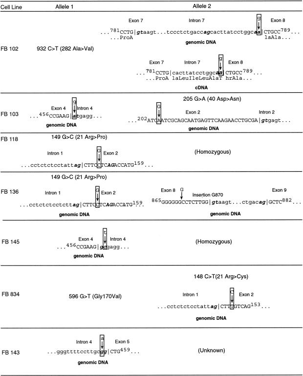 Figure  1