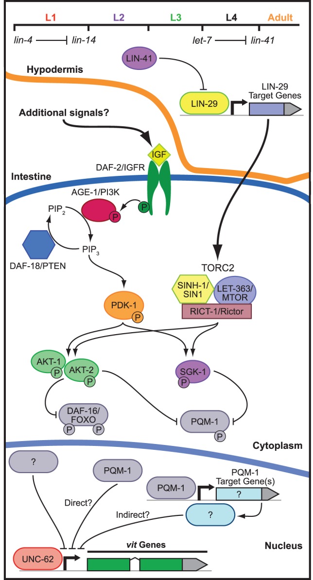 Figure 7.