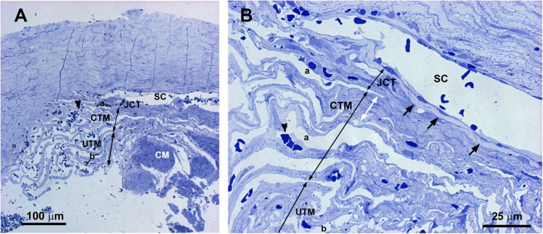 Fig 7