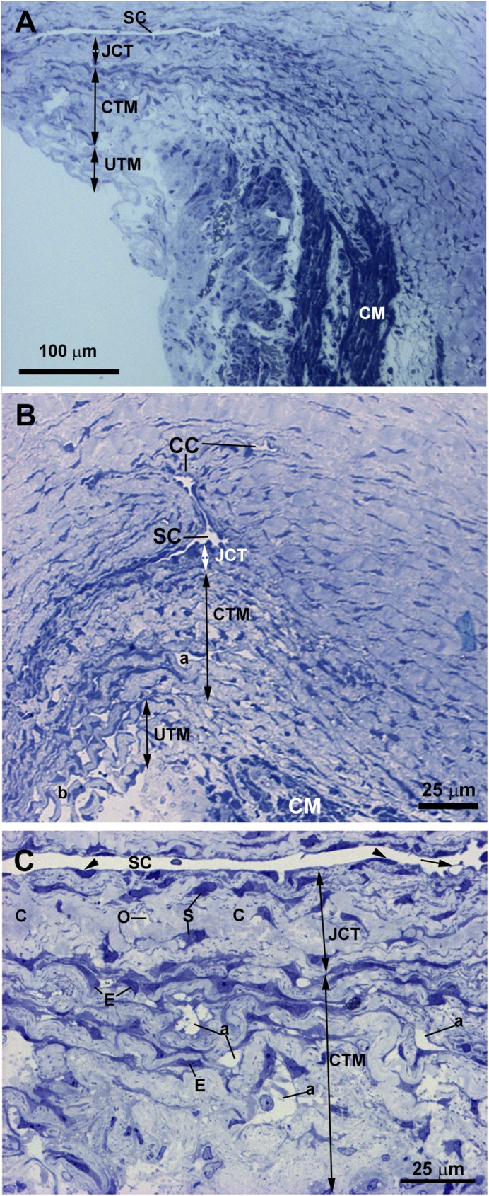 Fig 10