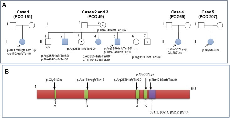 Fig 1