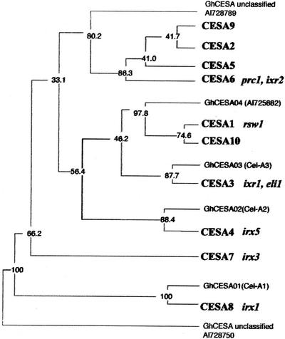 Figure 6