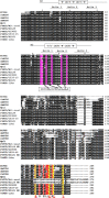 Fig. 3