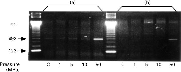 Figure 3  