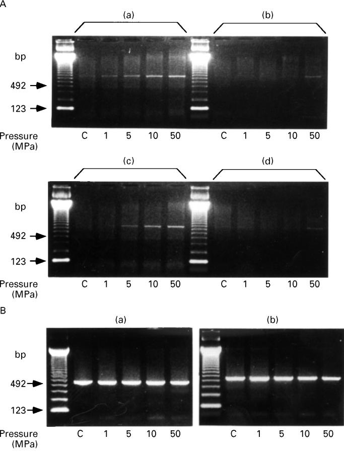 Figure 2  